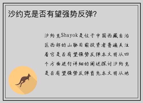 沙约克是否有望强势反弹？