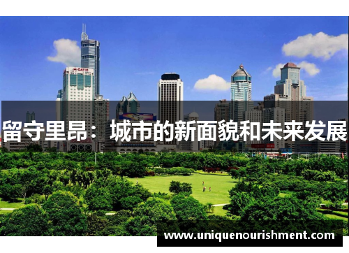 留守里昂：城市的新面貌和未来发展